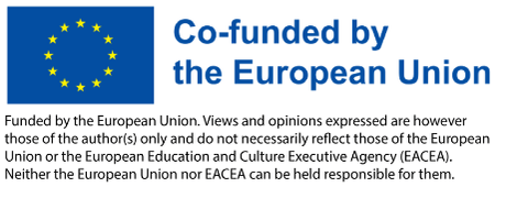 EU Disclaimer