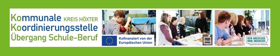 KAoA - Berufsfelder erkunden in Bad Driburg und Brakel