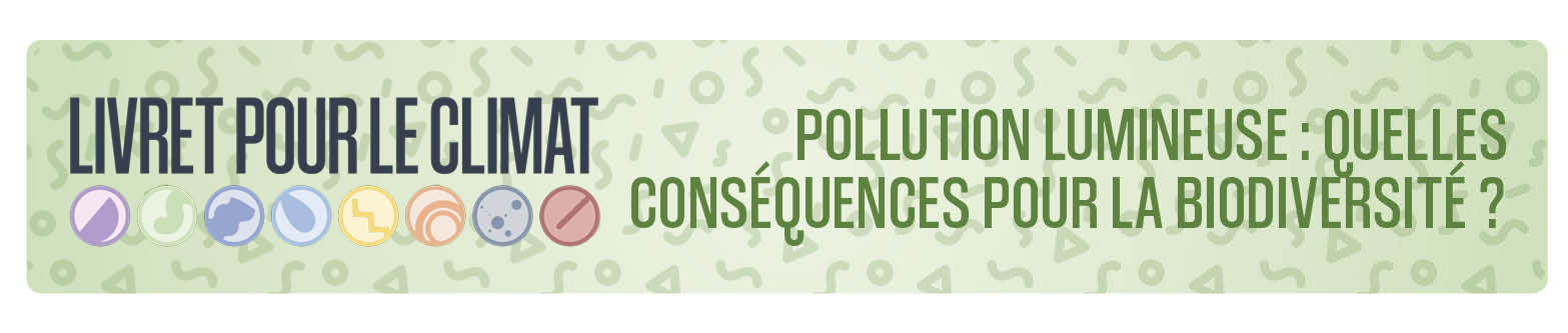 Edition #3 - Pollution lumineuse : quelles conséquences pour la biodiversité ?